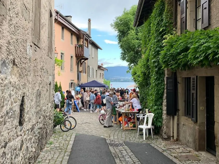 Duplex « Les Pieds Dans L'Eau » Apartment Nernier France