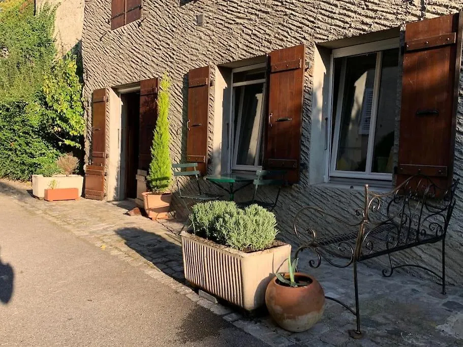 Duplex « Les Pieds Dans L'Eau » Apartment Nernier